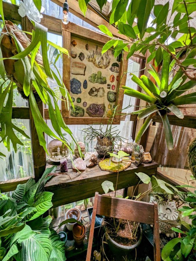Cozy Af Tiny-House Oasis Villa Tampa Exterior foto