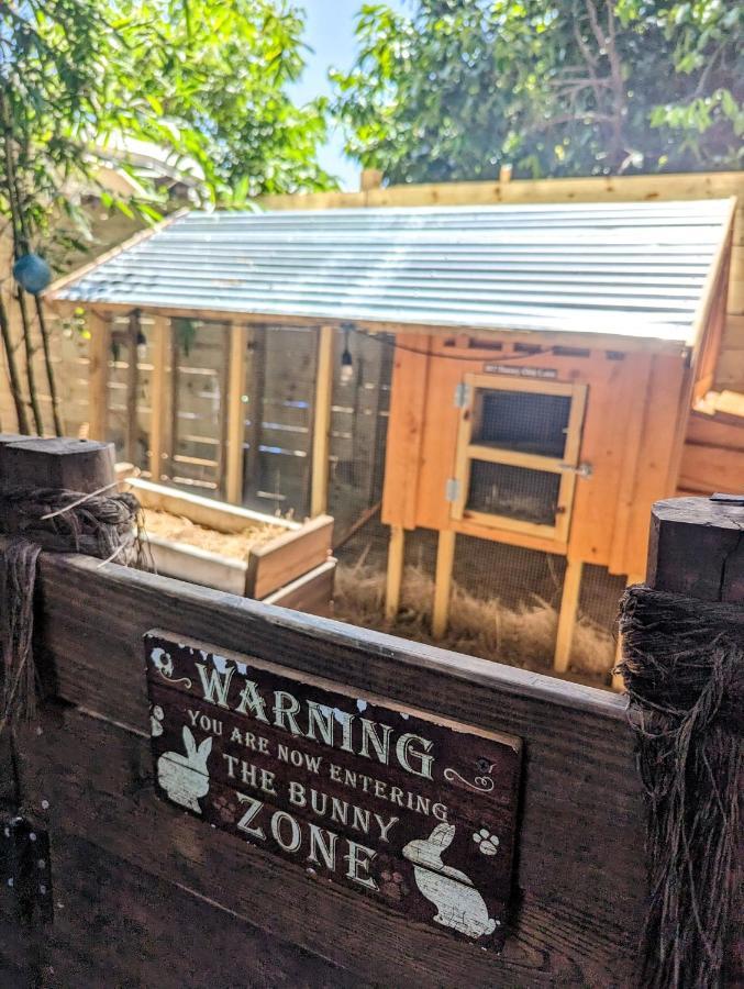 Cozy Af Tiny-House Oasis Villa Tampa Exterior foto