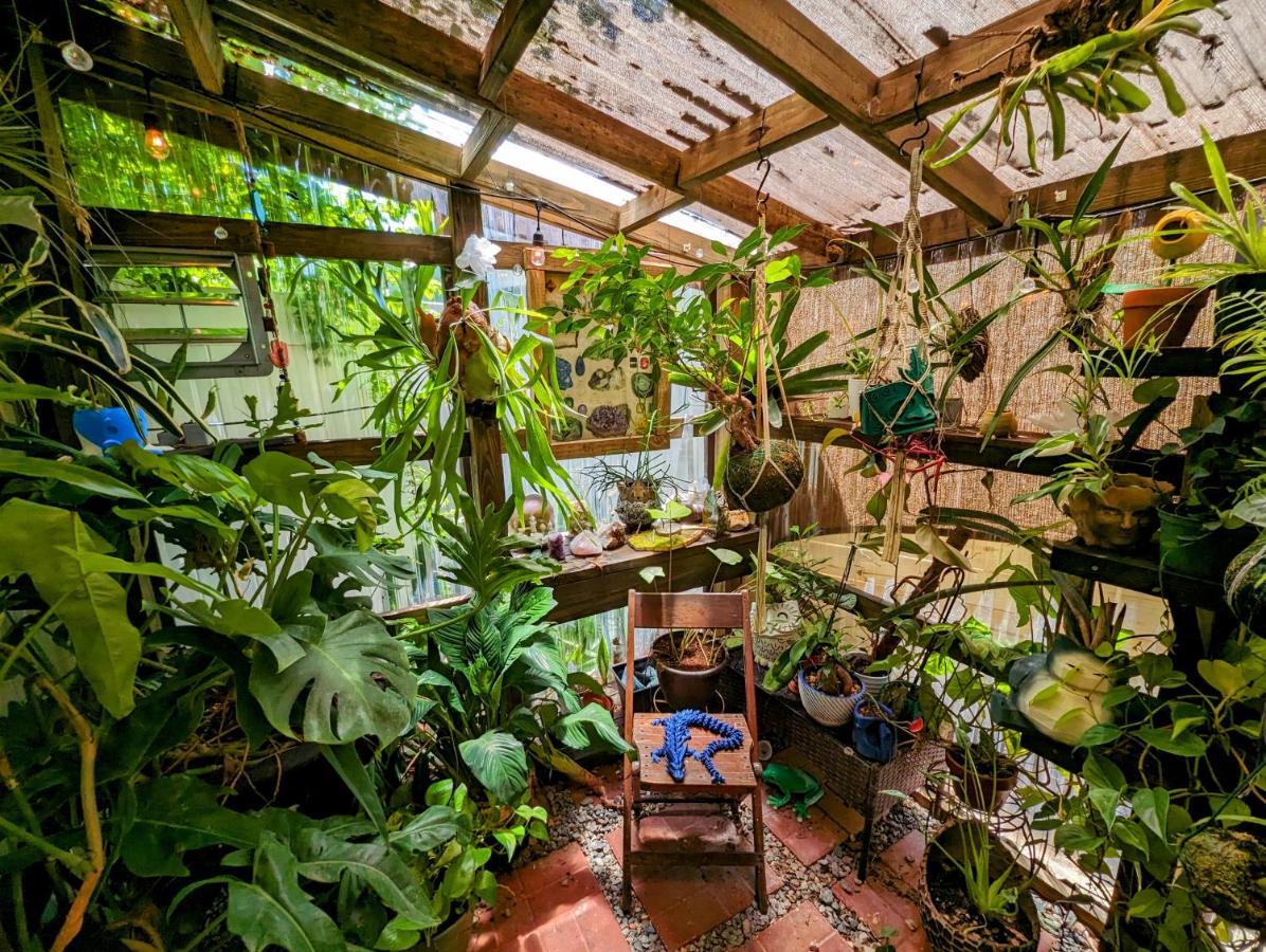 Cozy Af Tiny-House Oasis Villa Tampa Exterior foto